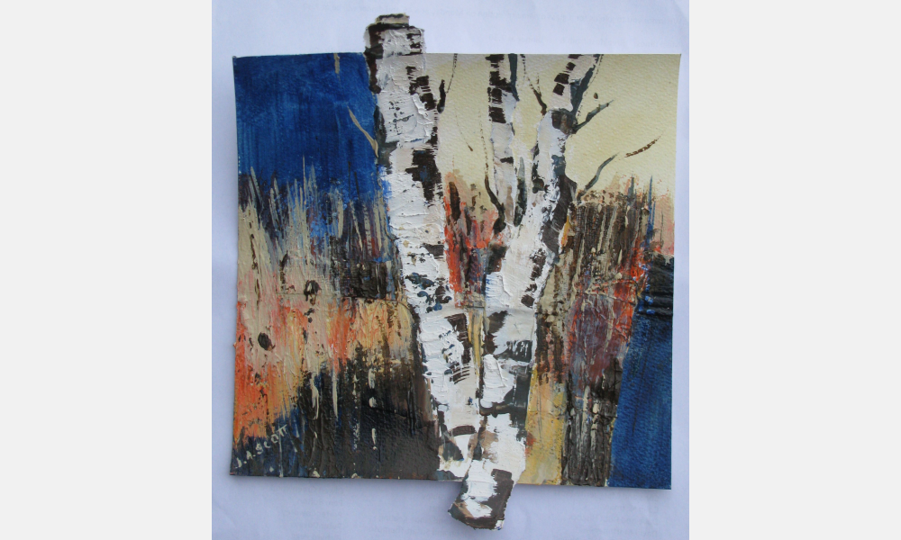 Joan Scott Artist Details · Dorset Visual Arts