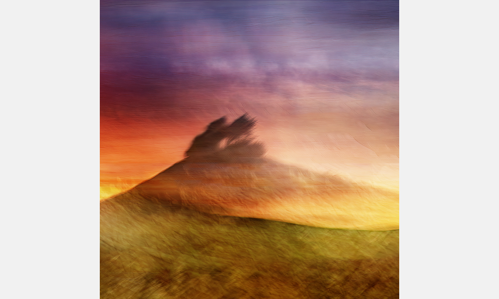 Picture 7