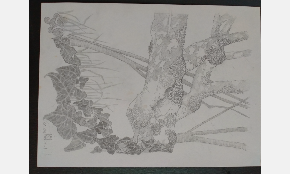 Picture 6