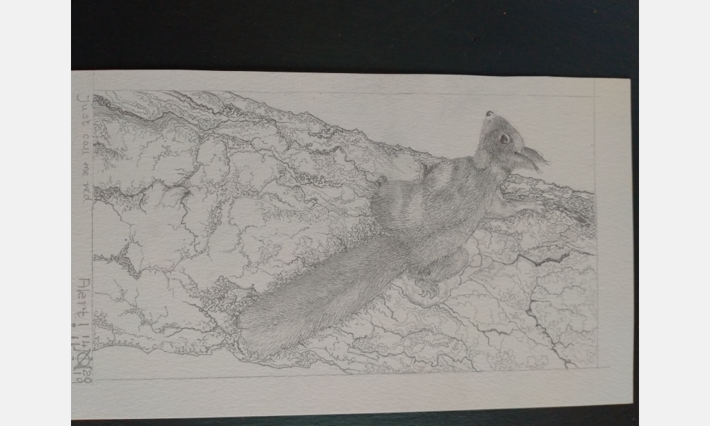 Picture 5