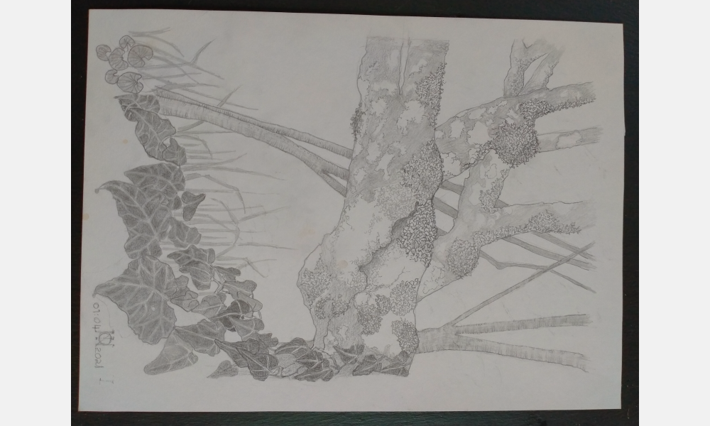 Picture 7