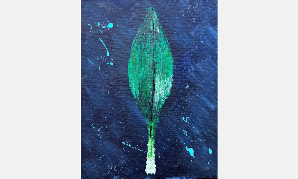 Picture 6